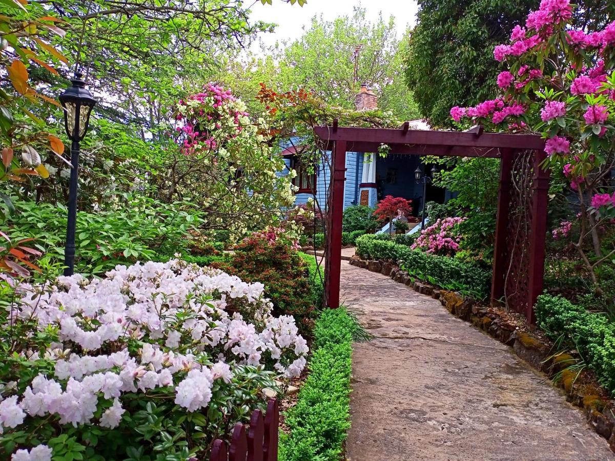 Kubba Roonga Guesthouse - Boutique Luxury Spa Retreat & Gardens - Blue Mountains Blackheath Dış mekan fotoğraf