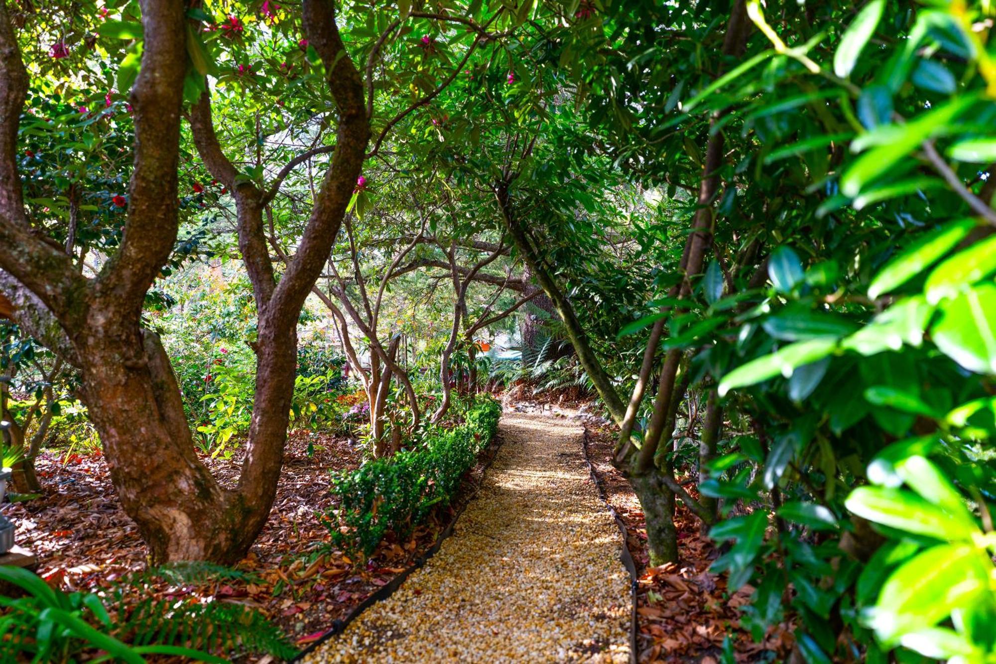 Kubba Roonga Guesthouse - Boutique Luxury Spa Retreat & Gardens - Blue Mountains Blackheath Dış mekan fotoğraf