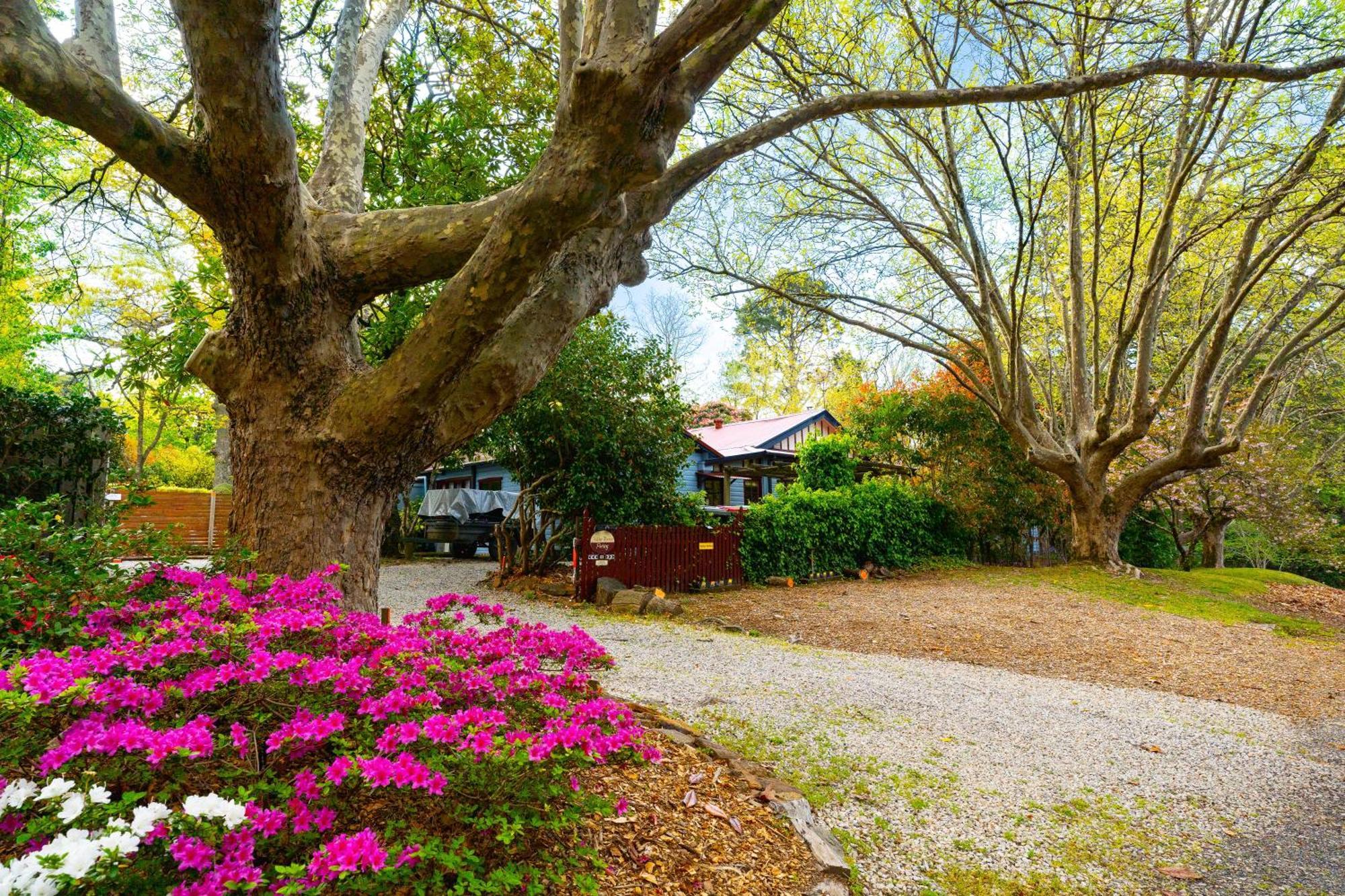 Kubba Roonga Guesthouse - Boutique Luxury Spa Retreat & Gardens - Blue Mountains Blackheath Dış mekan fotoğraf
