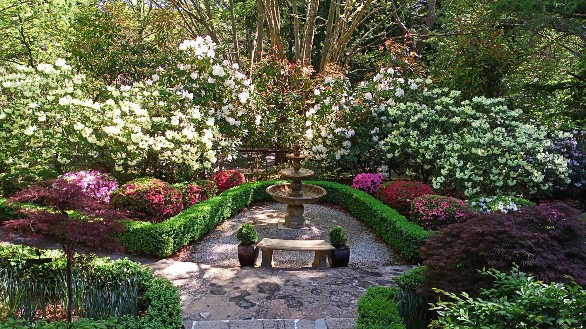 Kubba Roonga Guesthouse - Boutique Luxury Spa Retreat & Gardens - Blue Mountains Blackheath Dış mekan fotoğraf