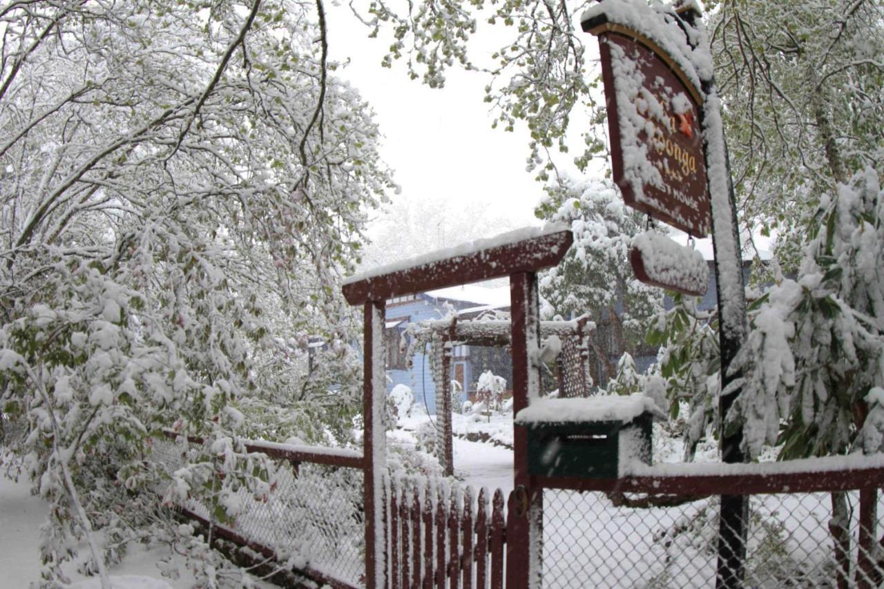 Kubba Roonga Guesthouse - Boutique Luxury Spa Retreat & Gardens - Blue Mountains Blackheath Dış mekan fotoğraf